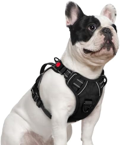 rabbitgoo Dog Harness Small Sized Dog, No Pull Pet Harness with Soft Padded Handle, Adjustable Reflective Vest with 3 Buckles, Easy Walking Harness with 2 Leash Clips, Black, S Rabbitgoo