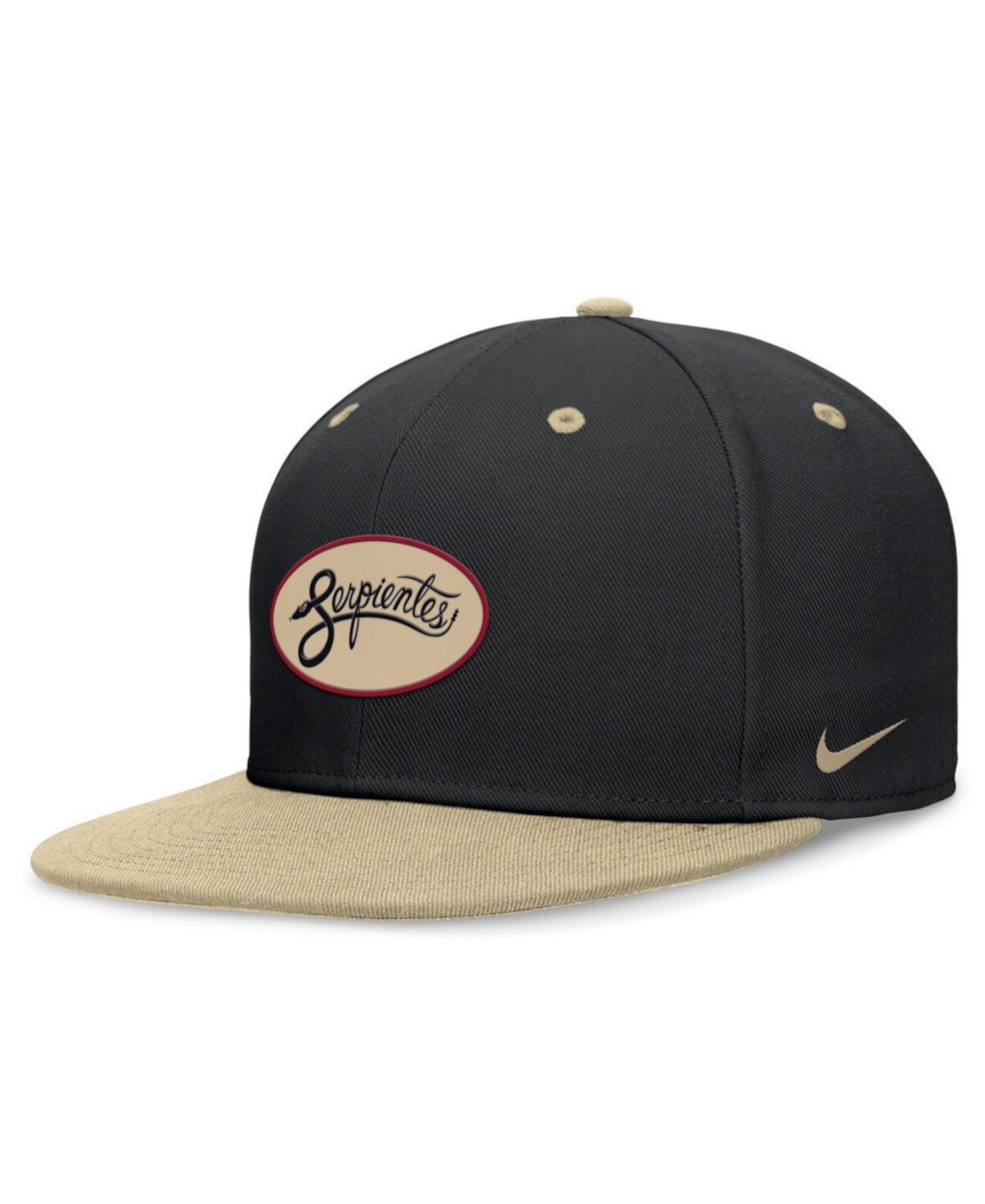 Men's / Arizona Diamondbacks City Connect True Fitted Hat Nike