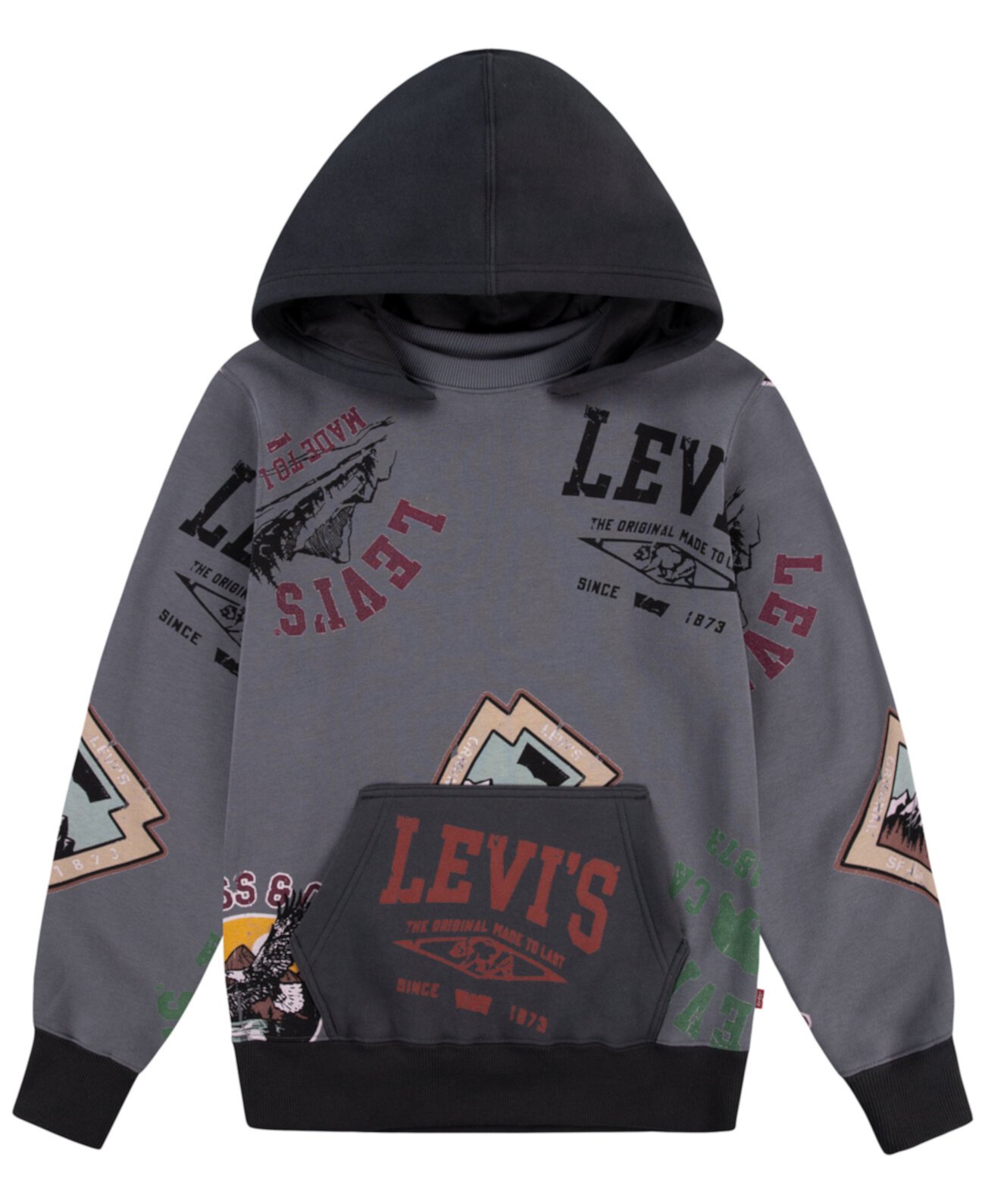 Big Boys Road Trip Pullover Hoodie Levi's®