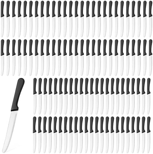 Zhehao 100 Pcs 8.39 Inches Stainless Steel Steak Knives Set Rounded Head Serrated Steak Knife with Plastic Black Handle Round Tip Blade Kitchen Steak Knives for Restaurant Gift Party Zhehao