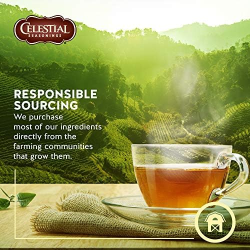 Celestial Seasonings 100% Natural Lemon Zinger Herbal Tea 20 ct Celestial Seasonings