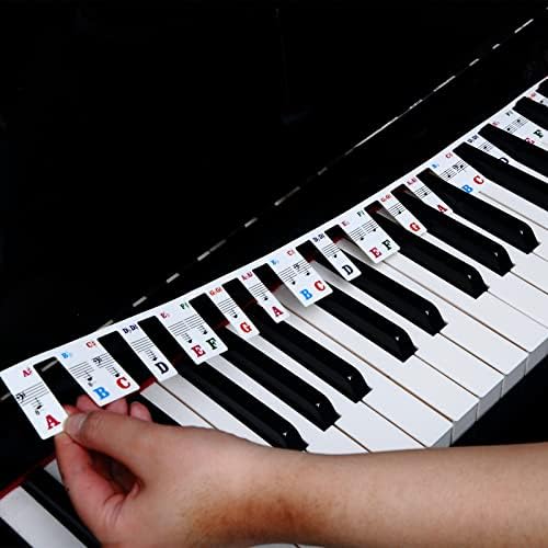 Piano Key Stickers for Beginners Kids 61/88 Full-Size Keys Piano Keyboard Rake Notes Marker Overlay with Case (88 keys) Ealand