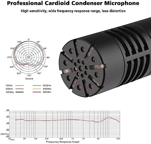 Кардиоидный конденсаторный микрофон Takstar CM-63 с золотой диафрагмой, частотный диапазон 30 Гц - 20 кГц TAKSTAR