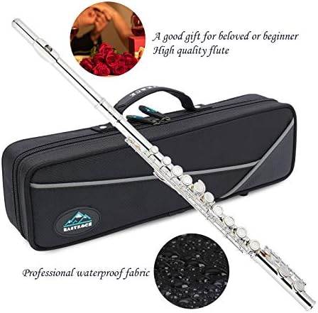 EASTROCK Closed Hole Flutes C 16 Key for Beginner, Kids, Student -Antique Flute with Case Stand and Cleaning kit EASTROCK