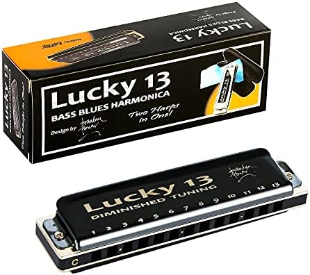 East top Lucky 13 Bass Plus Blues Harmonica 13 Holes Diatonic Harp Mouth Organ Professional Musical Instruments Diminished C Key harmonica for Adults East top