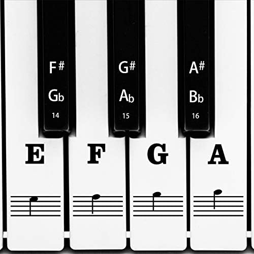 AIEX Piano Keyboard Music Note Full Set Stickers Removable & Transparent for White & Black 88/61/54/49 Keys Aiex