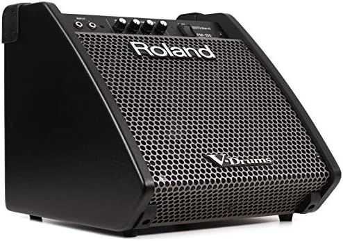 Roland PM-100 Compact Electronic V-Drum Set Monitor, 80-Watt,Black Roland