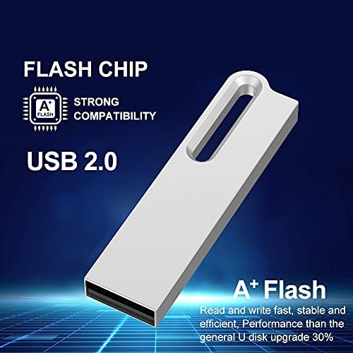 Aiibe 10 Pack 2GB Flash Drive Bulk 2GB Metal USB Flash Drives USB 2.0 Thumb Drives USB Drive Zip Drives Wholesale Jump Drive 2GB with Keychain, Waterproof - Silver Aiibe