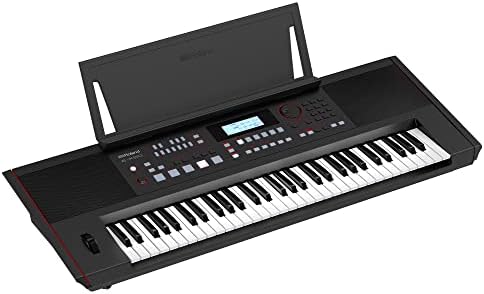 Электронная клавишная аранжировочная клавиатура Roland E-X50 – простота использования | стереоколонки | Bluetooth | профессиональные звуки | микрофонный вход | функция автоаккомпанемента Roland