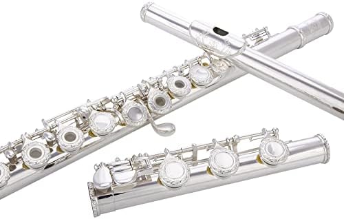 Glory HAND-ENGRAVED SILVER PLATED HIGH GRADE FLUTE 17 Hole OPEN/CLOSED C Flute With Case, Tuning Rod and Cloth and Gloves,HIGH GRADE HAND ENGRAVED GLORY