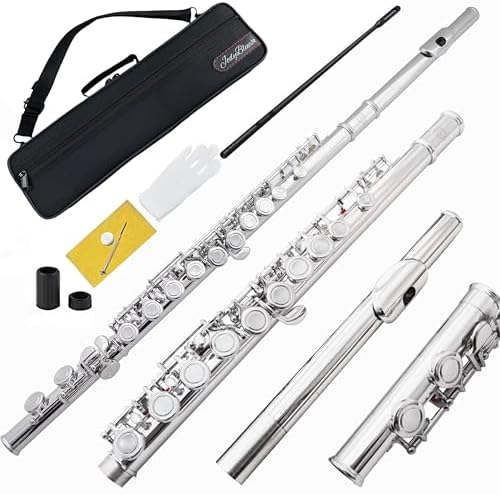 C Flutes AFL-100 Closed Hole 16 Keys Flute for Beginner Kids Student Flute Instrument with Cleaning Kit, Stand, Carrying Case, Gloves, Tuning Rod, Nickel AIOLLNS