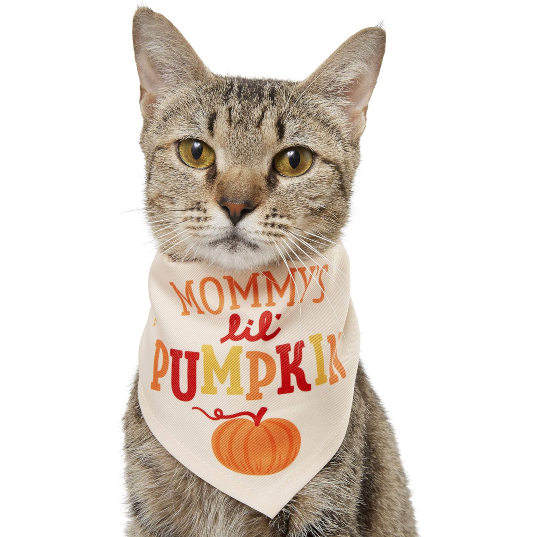 Frisco Mommy's Lil Pumpkin Dog & Cat Bandana Frisco