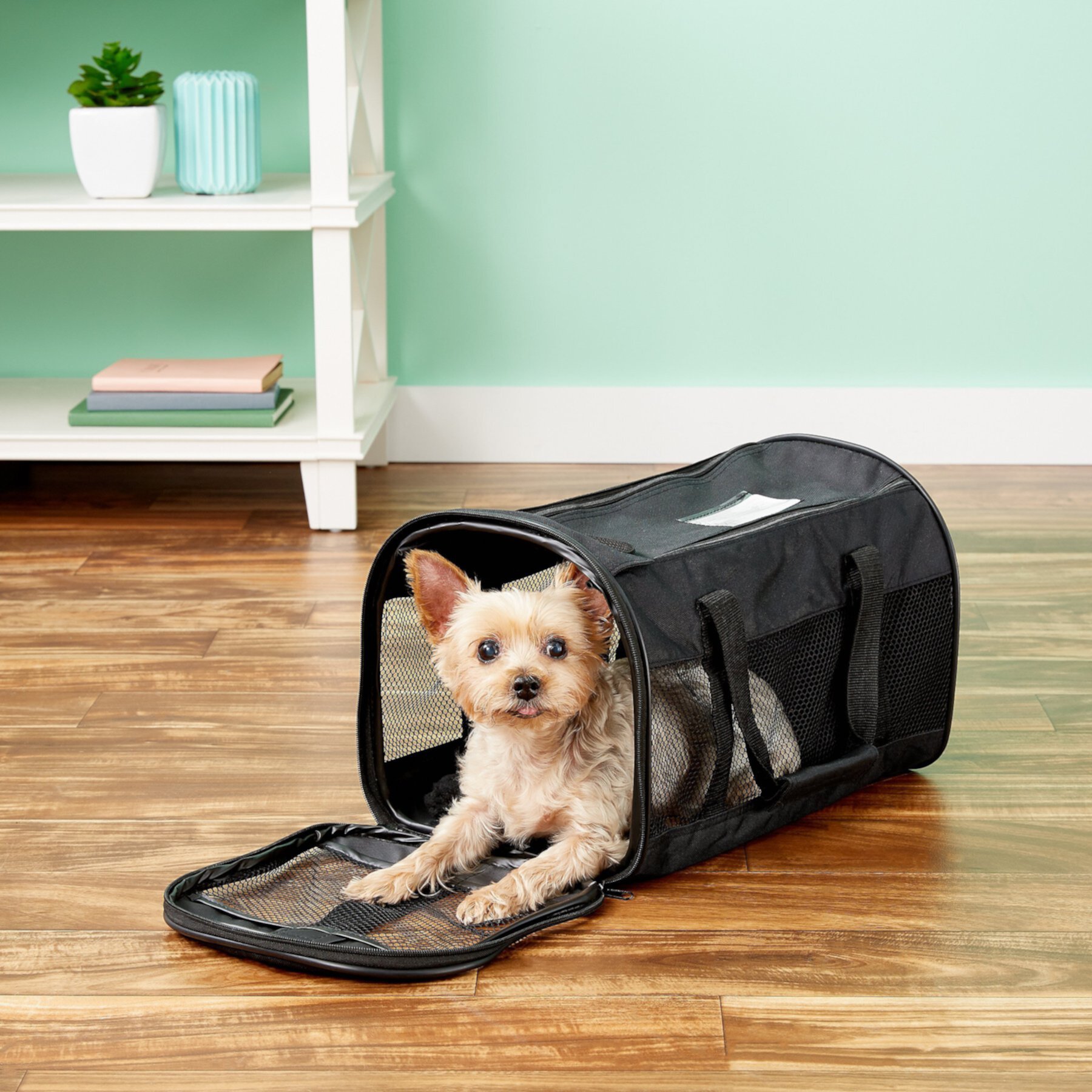 Petmate Soft-Sided Dog & Cat Carrier Bag Petmate