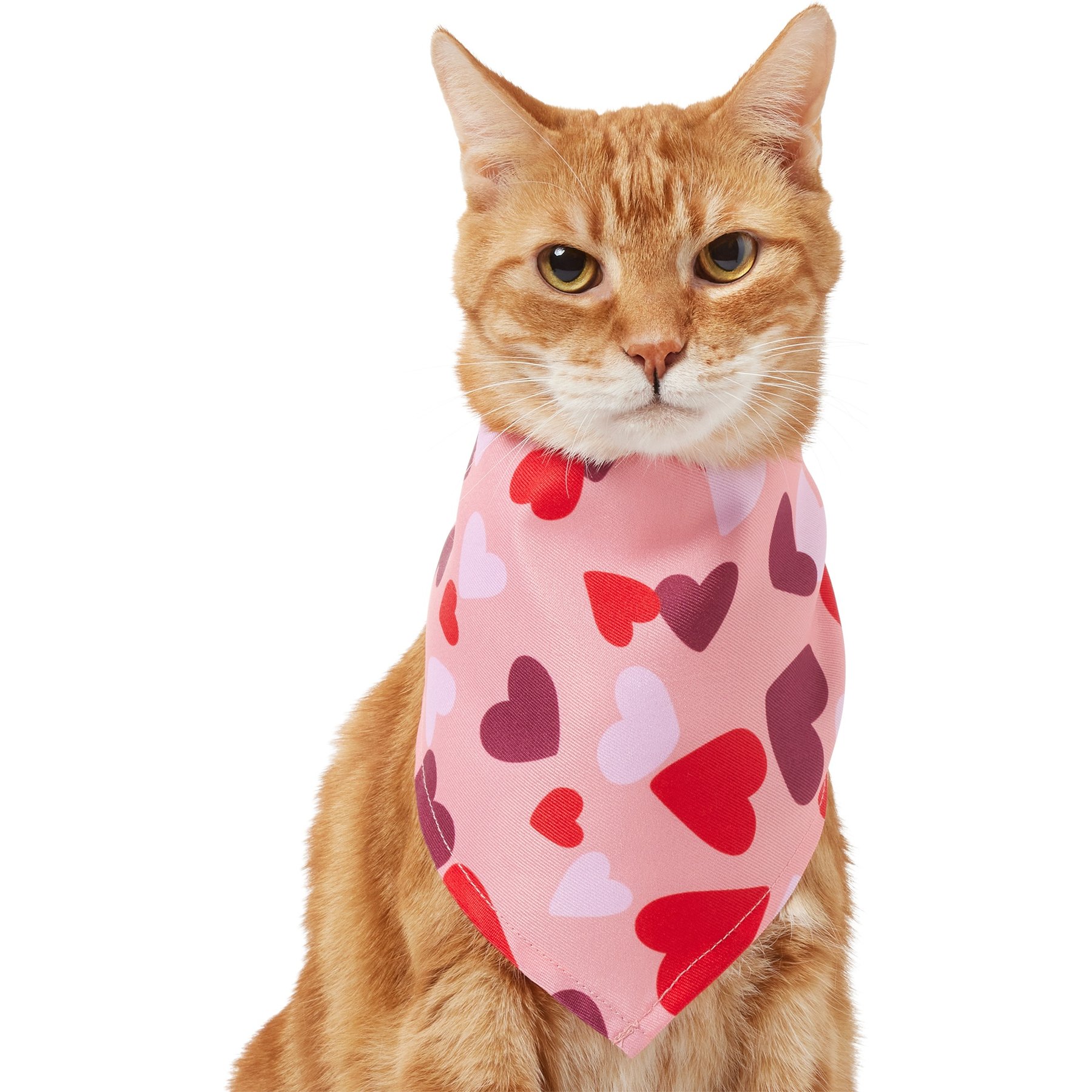 Frisco Heart Print Dog & Cat Bandana Frisco