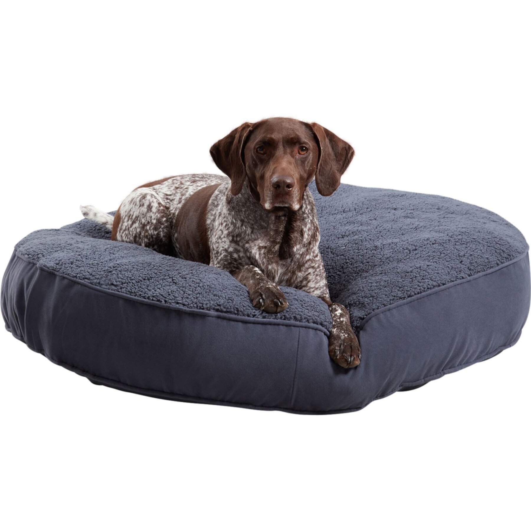 Happy Hounds Scooter Deluxe Round Pillow with Removable Cover Dog Bed, Blue Steel Happy Hounds