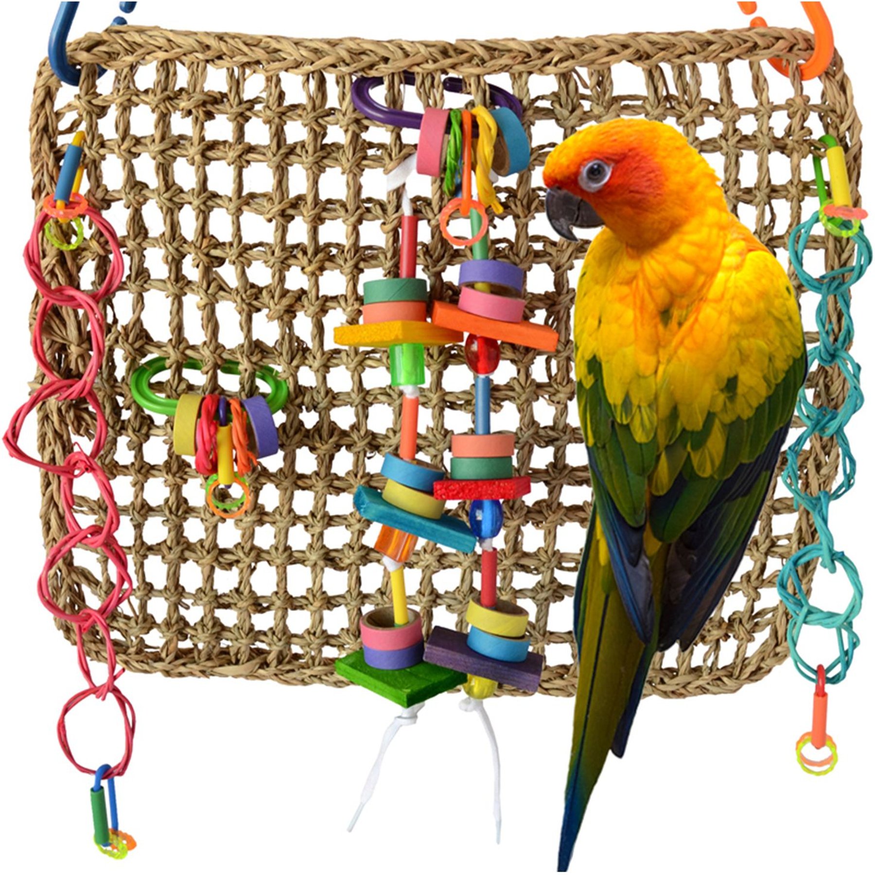 Super Bird Creations Activity Wall Bird Toy, Medium Super Bird Creations