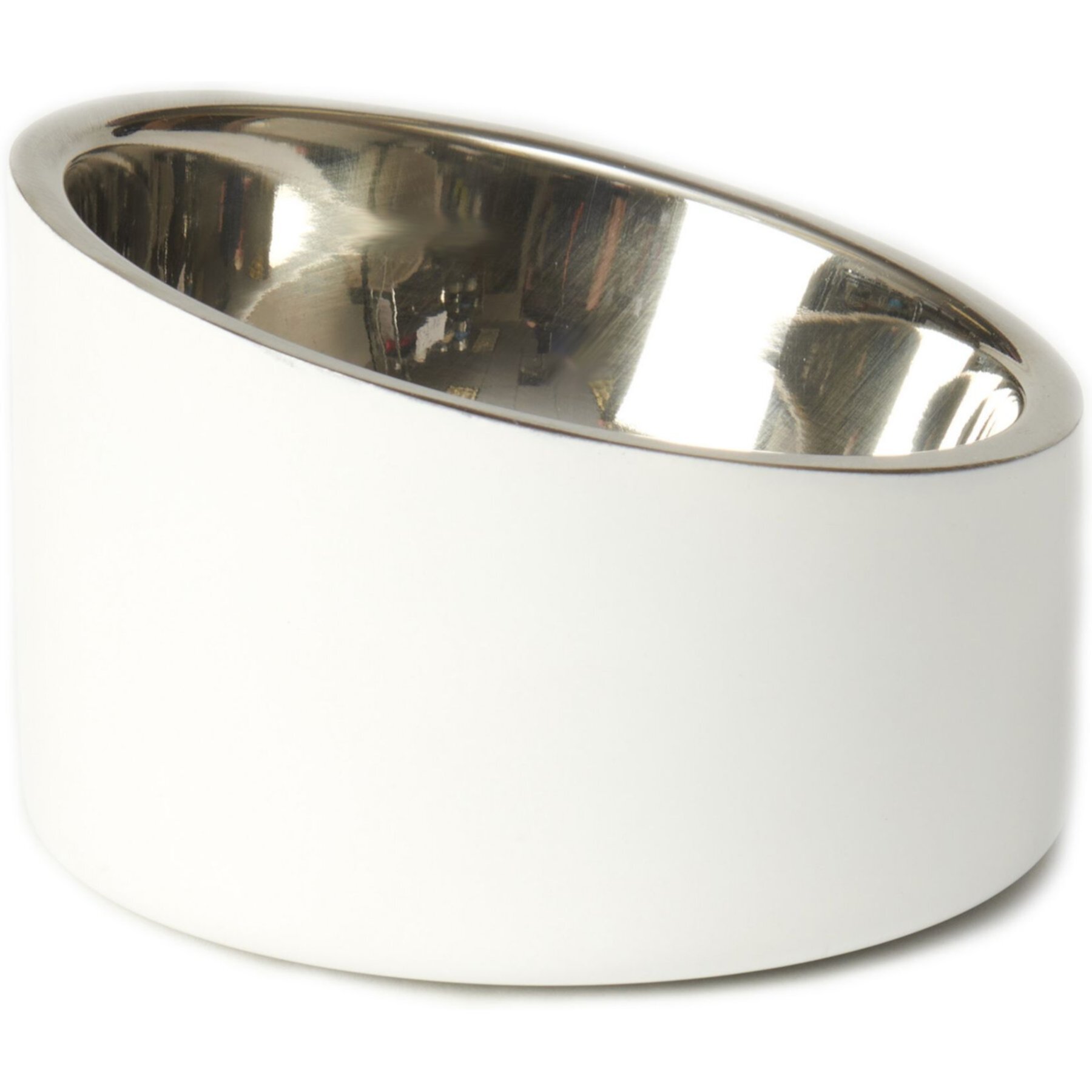 PetRageous Designs Seychelles Stainless-Steel Slanted Double Walled Dog & Cat Bowl Petrageous Designs