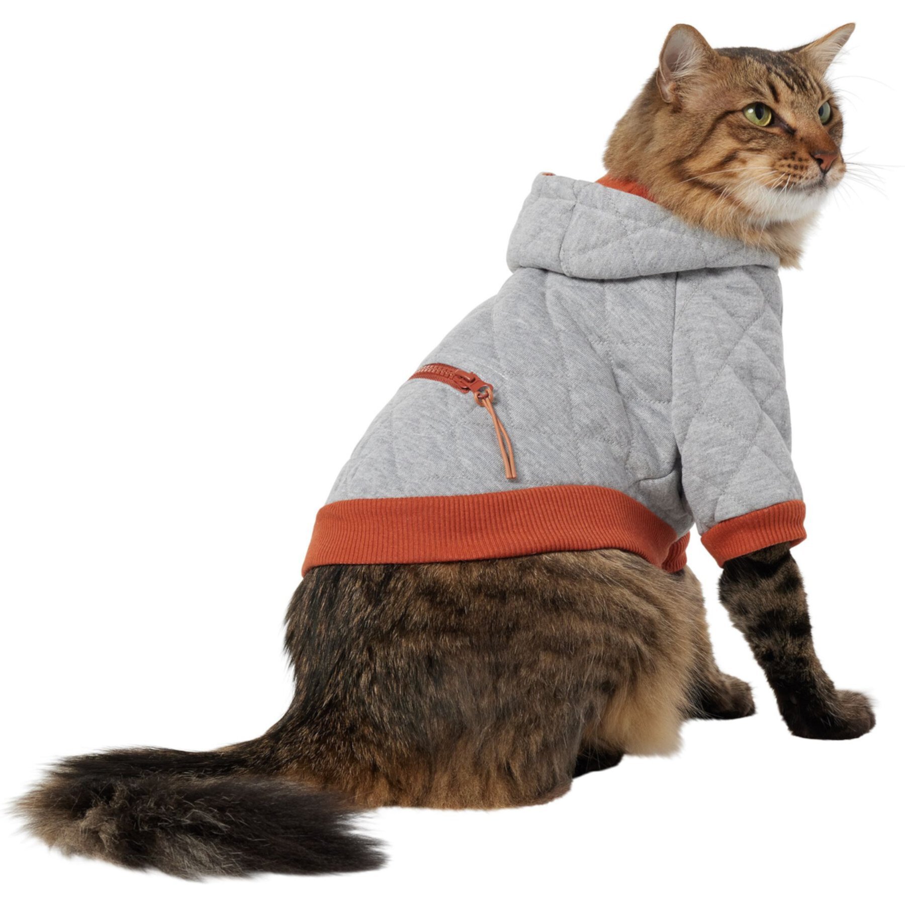 Frisco Quilted Dog & Cat Hoodie Frisco