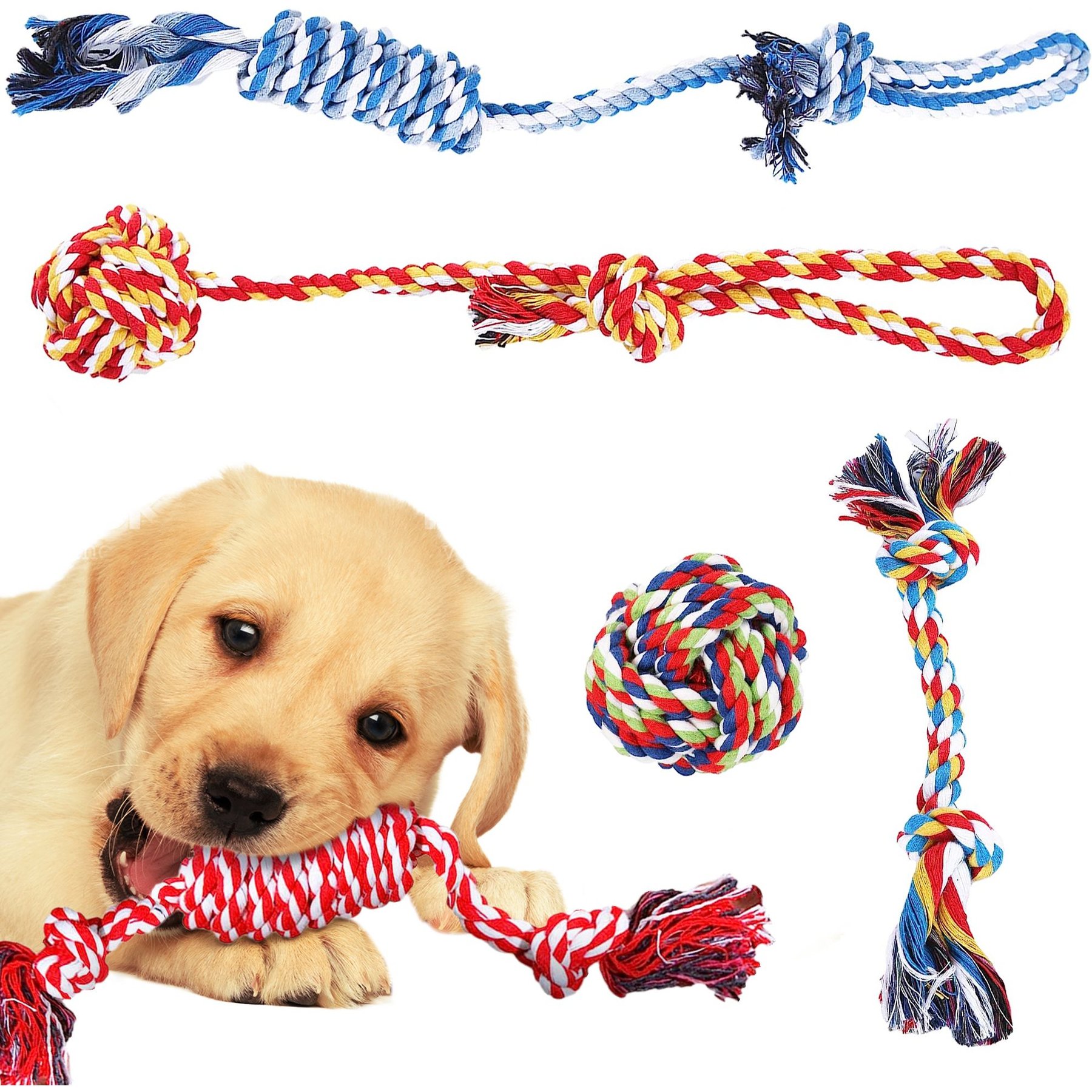 SunGrow Tug of War Cat & Dog Rope Pull Toy for Boredom & Stimulating, Dental Chew Teething Knot SunGrow