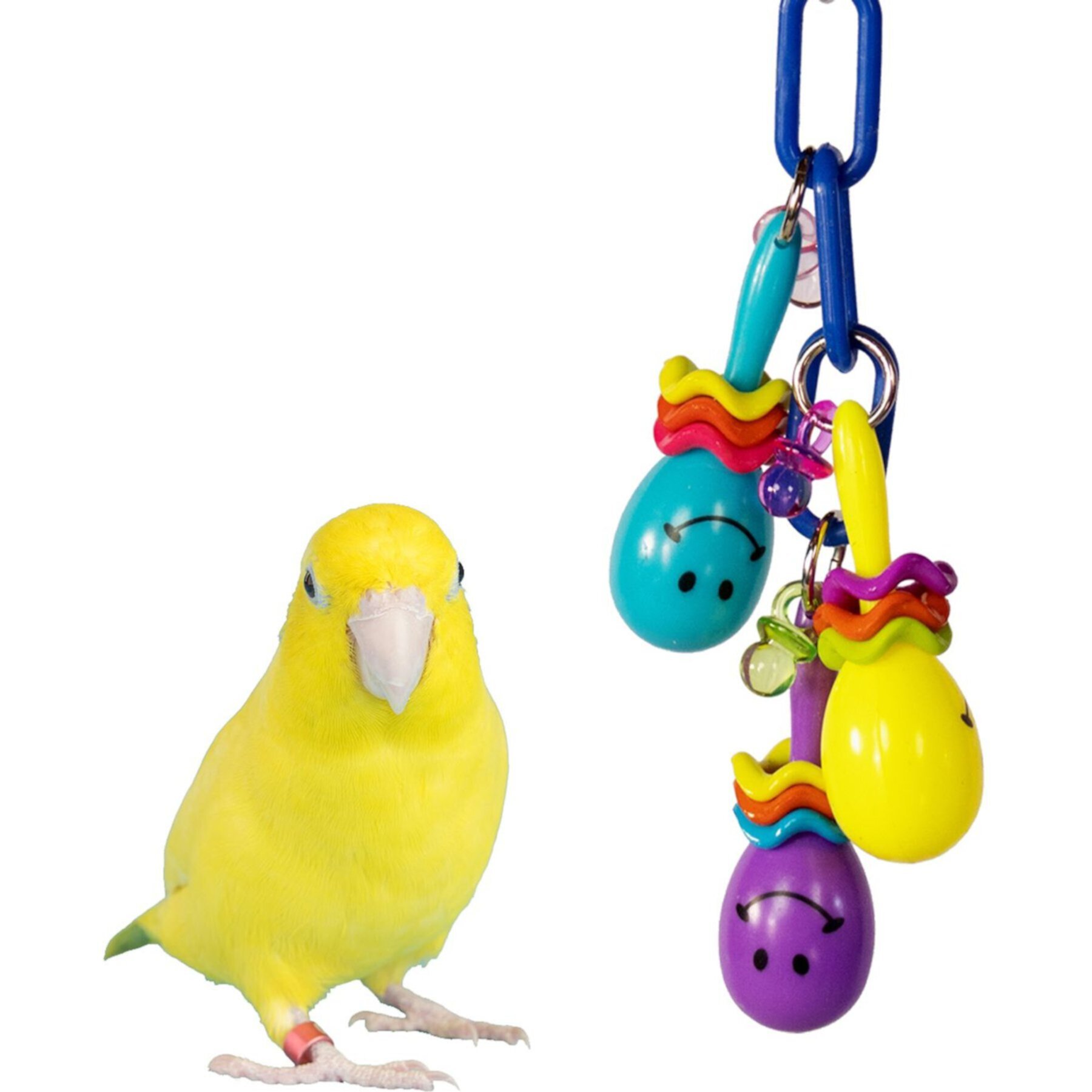 Super Bird Creations Maraca Mania Bird Toy Super Bird Creations