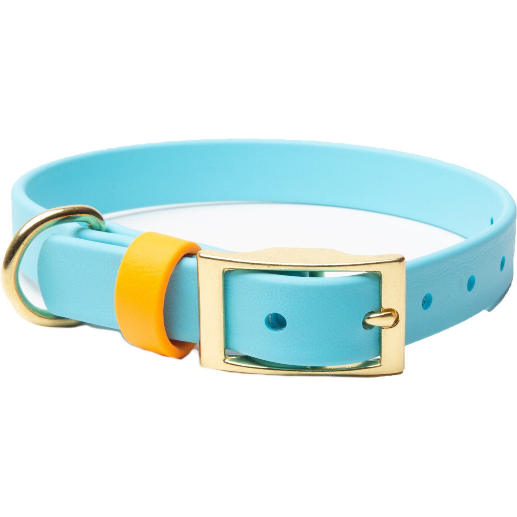 PawFurEver's Waterproof & Odorless Dog Collar PawFurEver