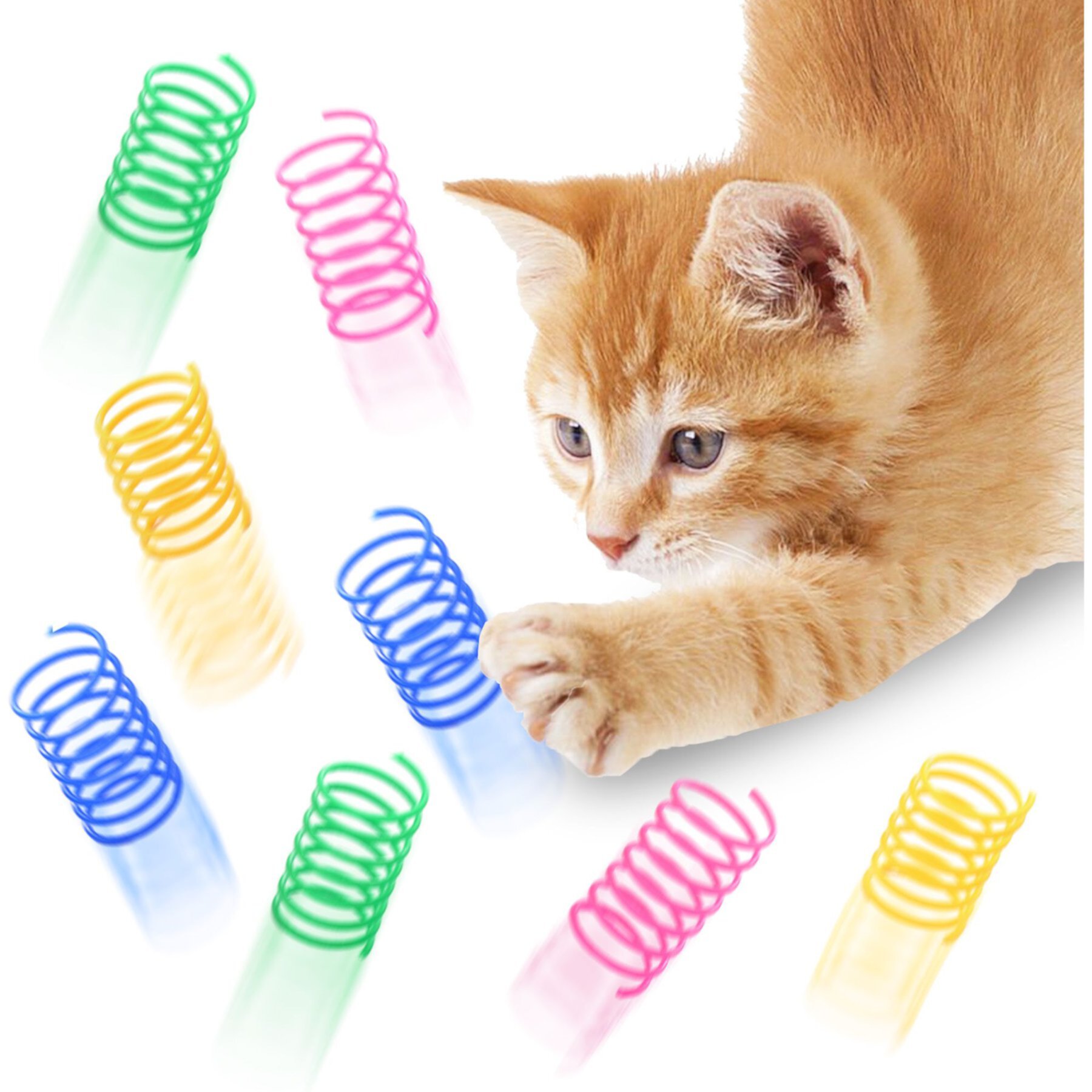 SunGrow Colorful Interactive Indoor Cat Spiral Spring Chasing Toy for Boredom, Exercise & Entertainment, 12 count SunGrow