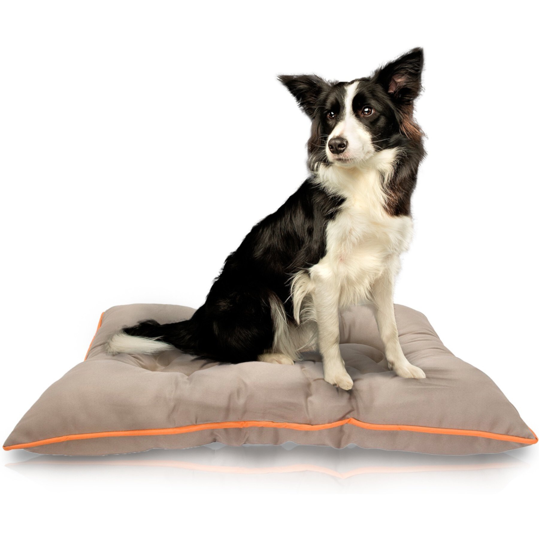 Precious Tails Co-Pilot Waterproof Pillow Cat & Dog Bed Precious Tails