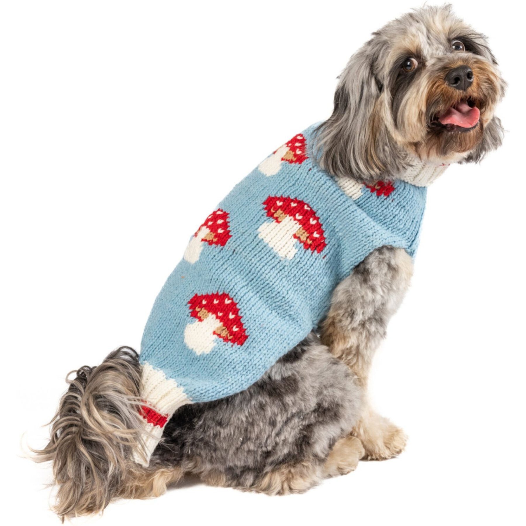 Chilly Dog Mushroom Dog & Cat Sweater Chilly Dog