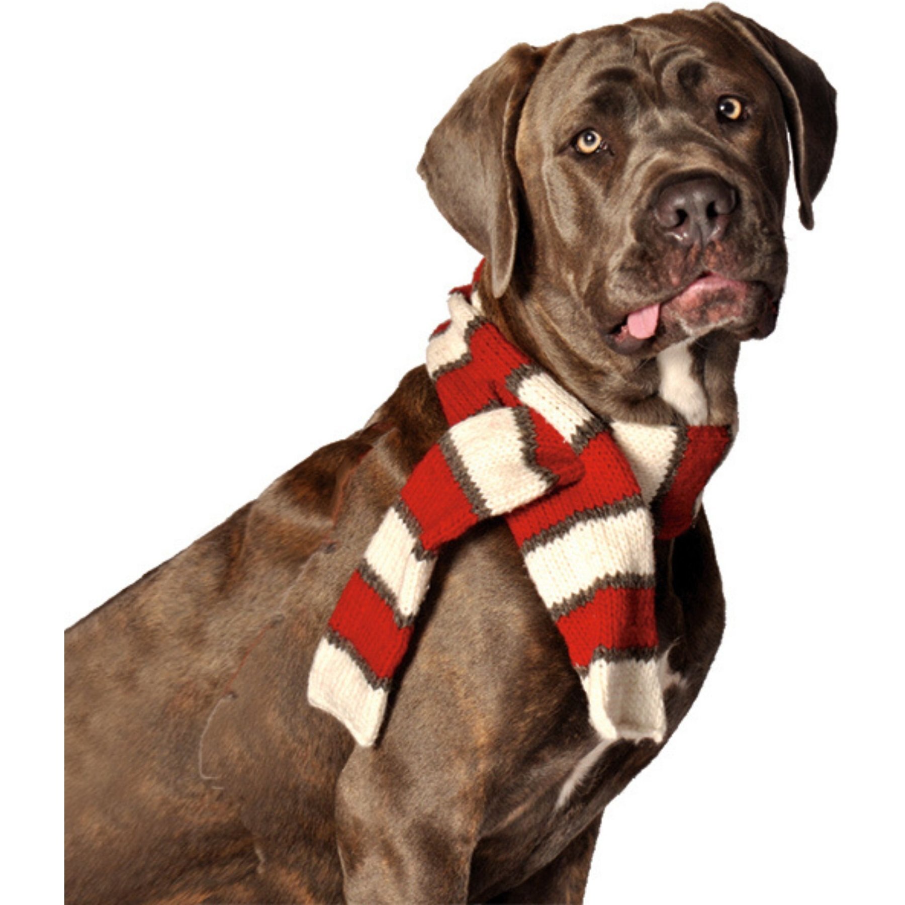 Chilly Dog White/Red Dog & Cat Scarf Chilly Dog