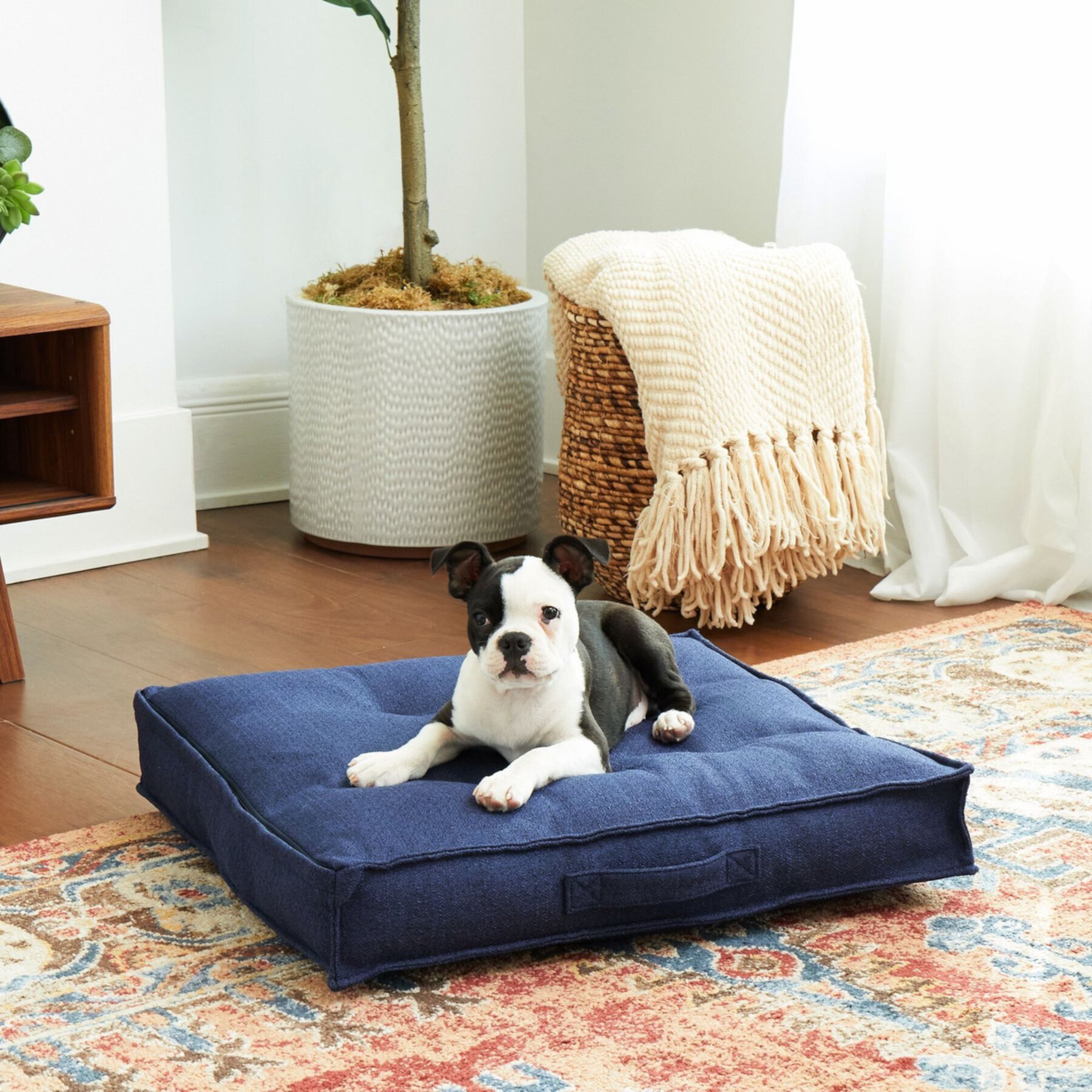 Happy Hounds Milo Square Tufted Pillow Dog Bed Happy Hounds