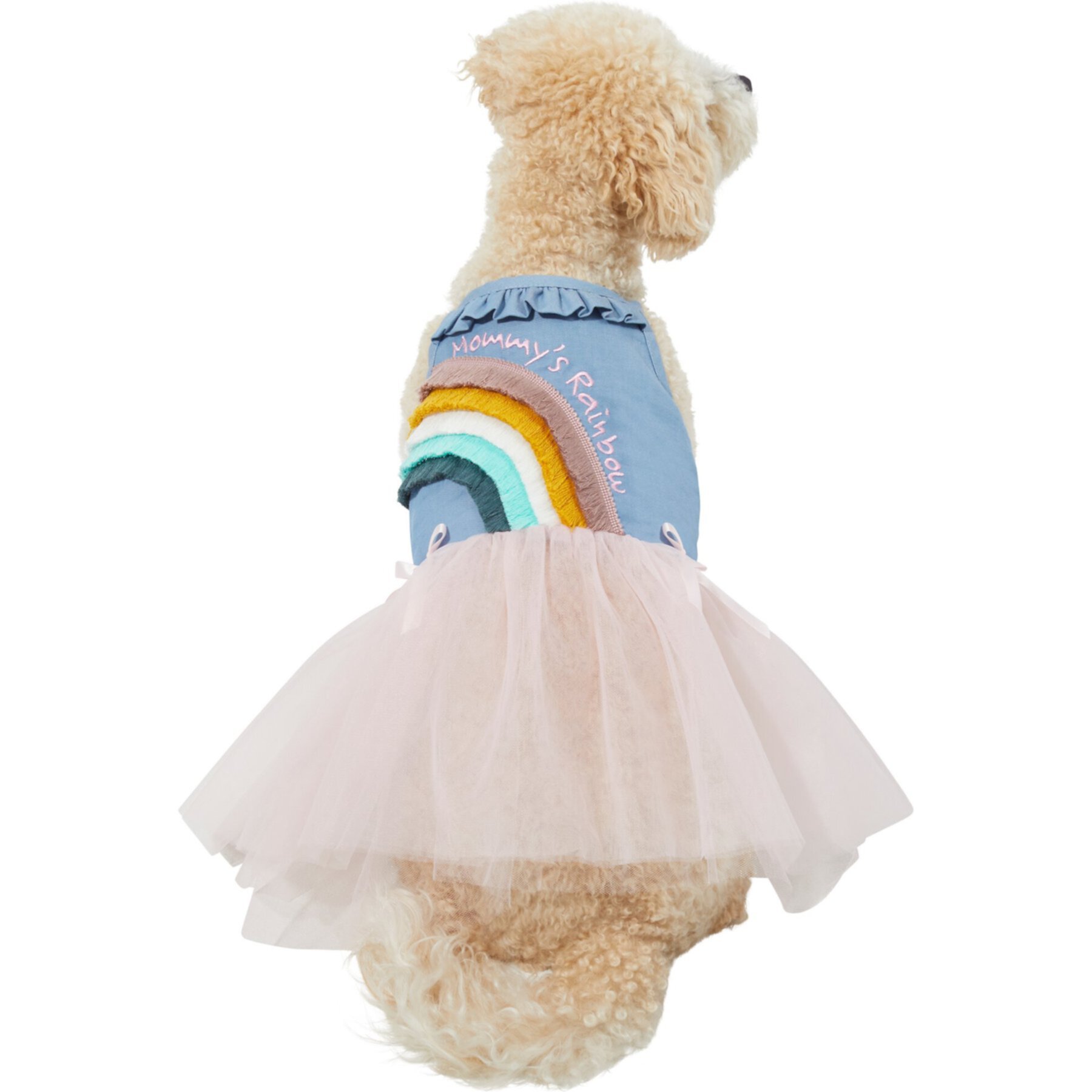 Frisco Rainbow Denim Dog & Cat Dress Frisco