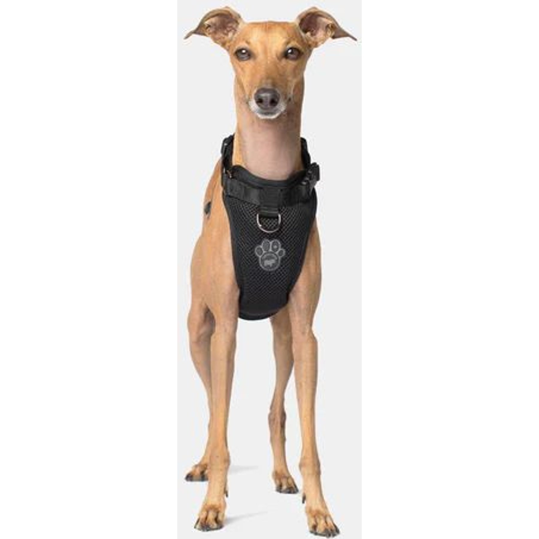 Canada Pooch Everything Dog Harness Canada Pooch