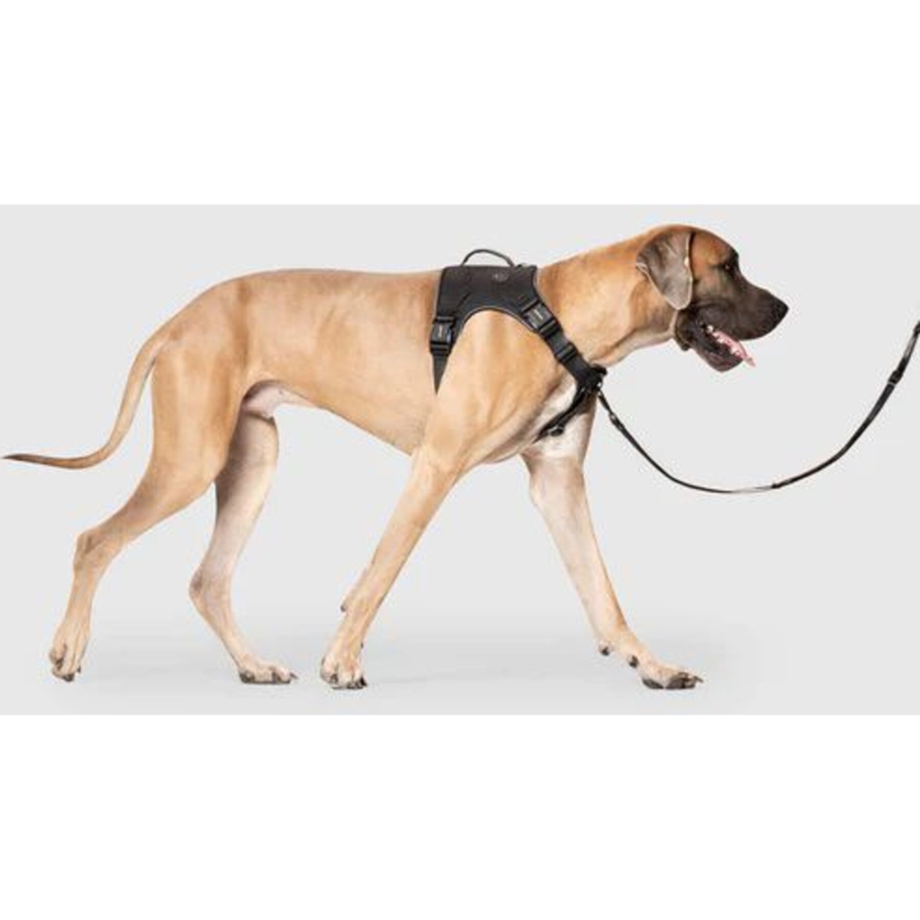 Canada Pooch Complete Control Dog Harness Canada Pooch