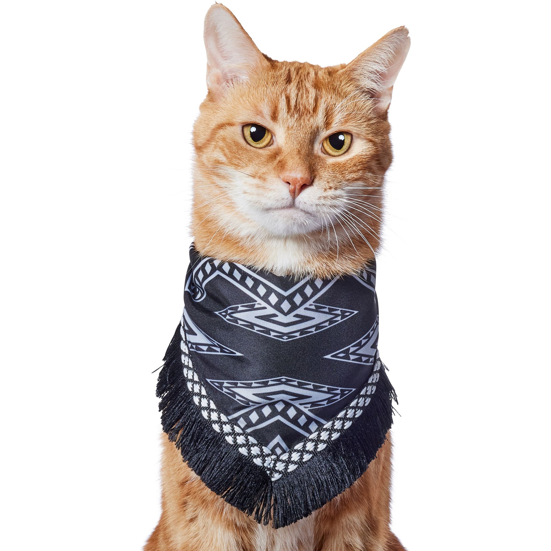 Frisco Southwest Fringe Dog & Cat Bandana Frisco