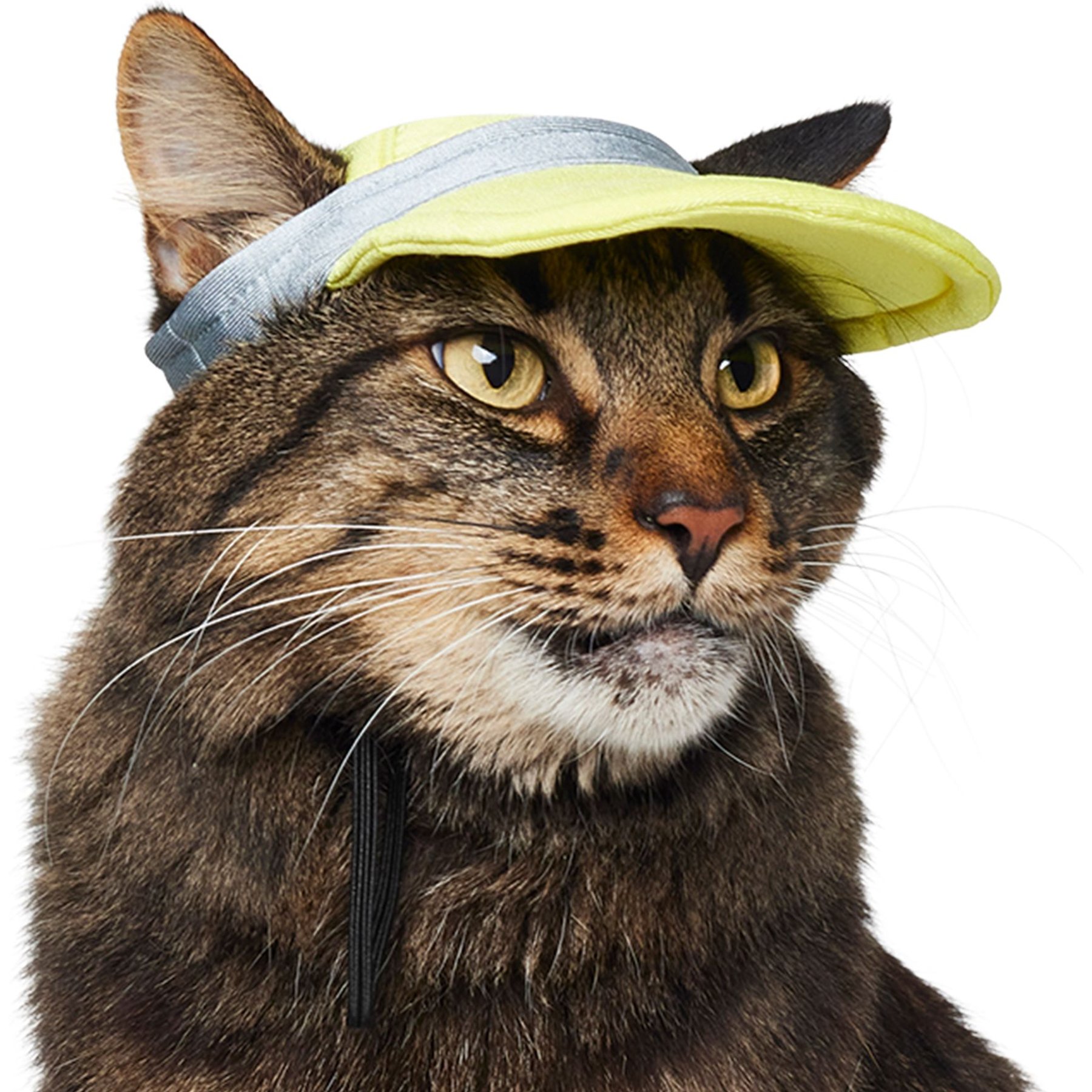 Frisco UPF 50+ Colorblock Dog & Cat Cap Frisco