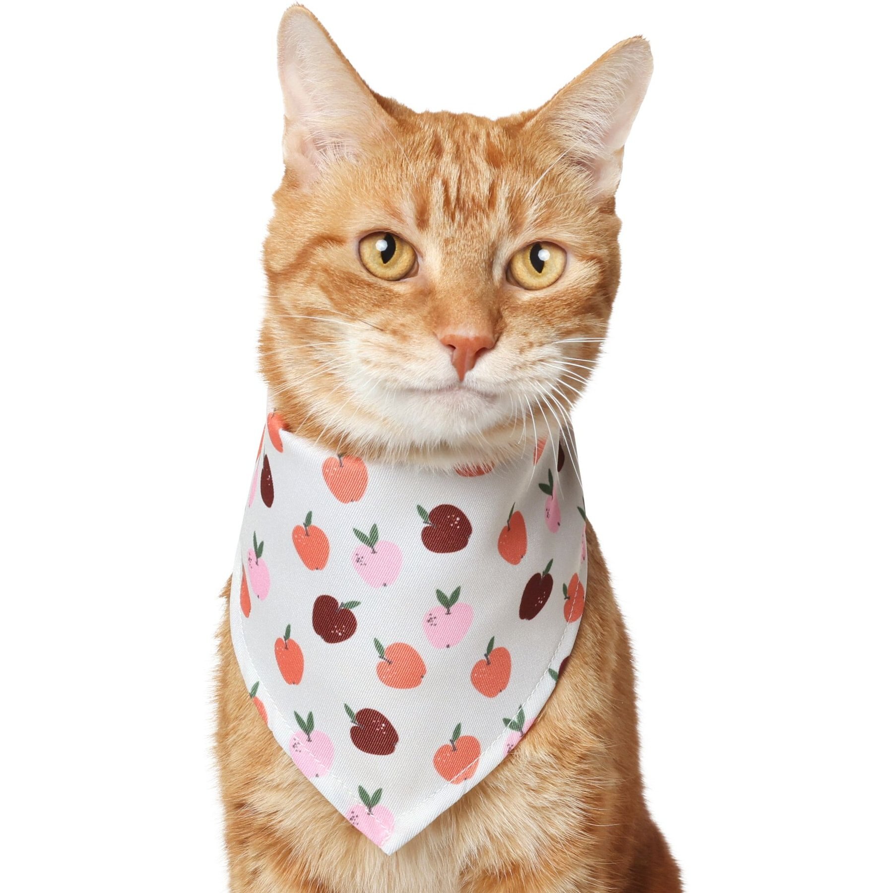 Frisco Apple Dog & Cat Bandana Frisco