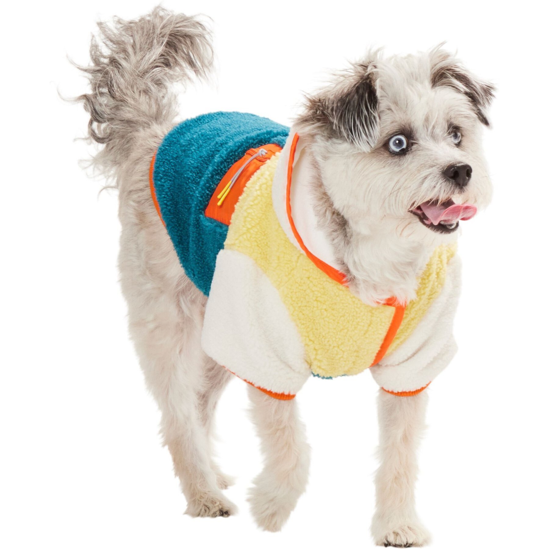 Frisco Colorblock Fleece Dog & Cat Hoodie w/ Pocket Frisco