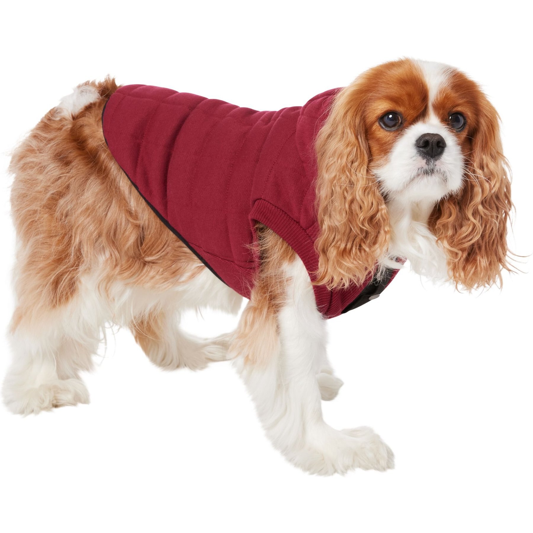 Frisco Quilted Fleece Dog & Cat Pullover Hoodie Frisco