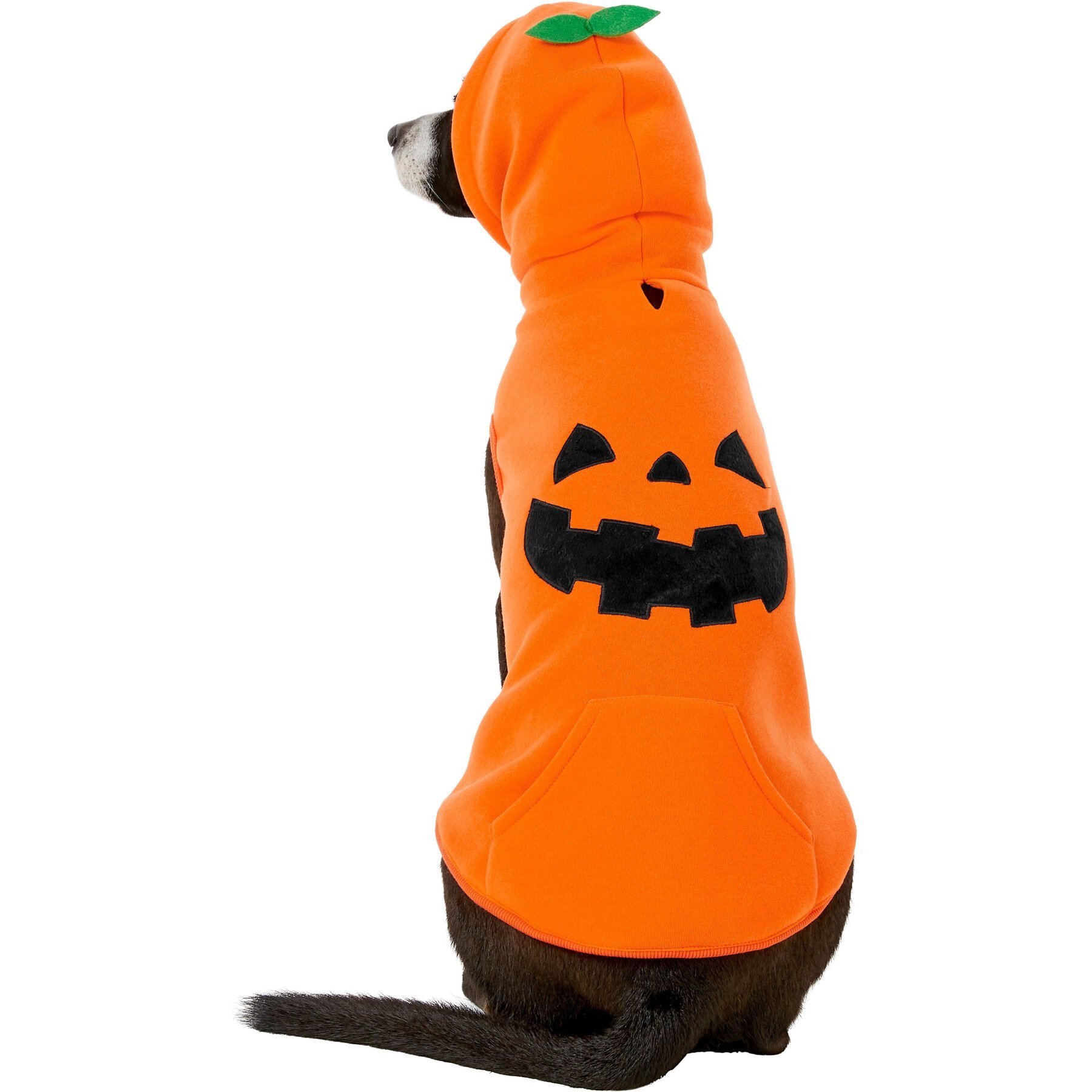 Frisco Jack O' Lantern Pumpkin Dog & Cat Hoodie Frisco