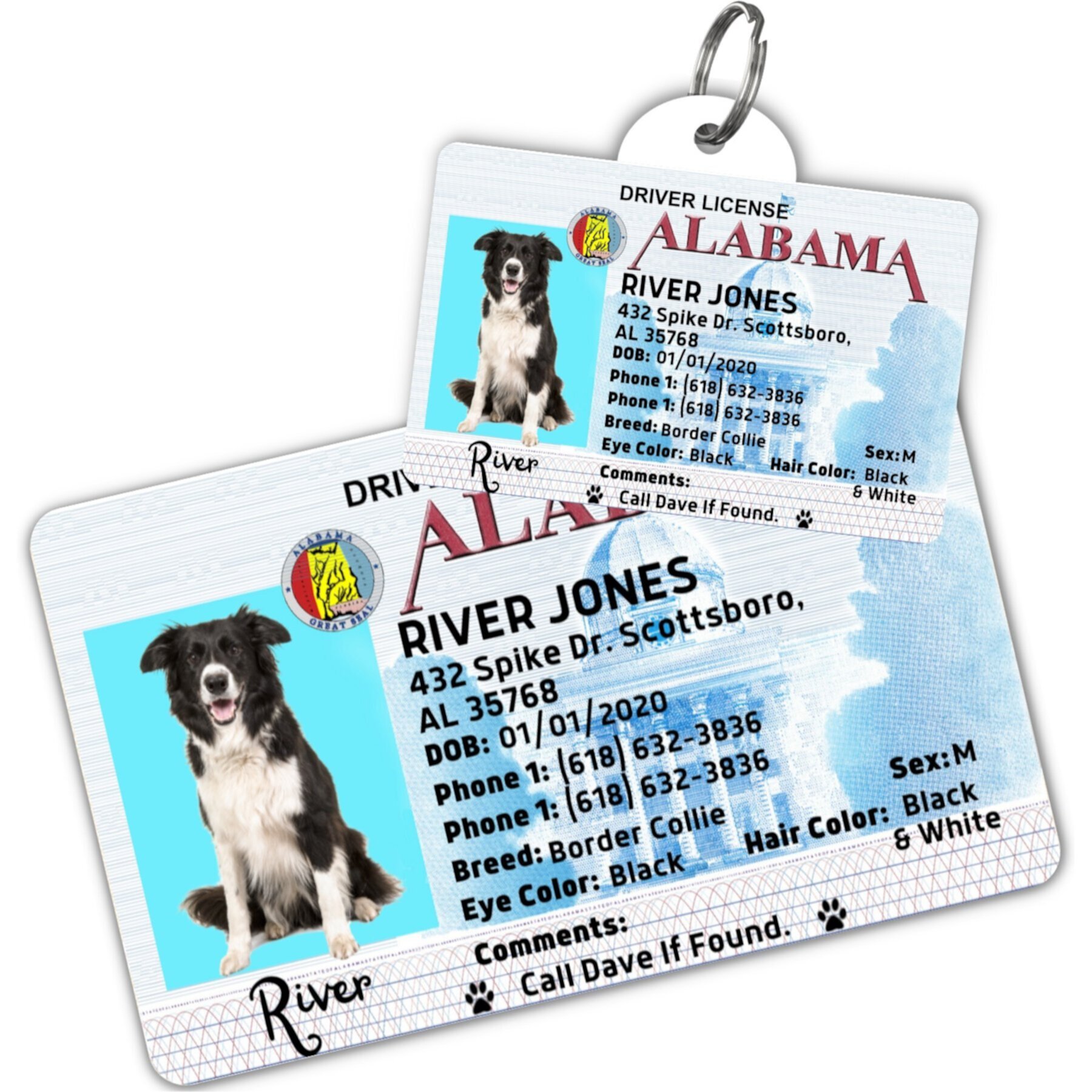 PawFurEver Pet ID License-Style Dog Tag & Wallet Card PawFurEver