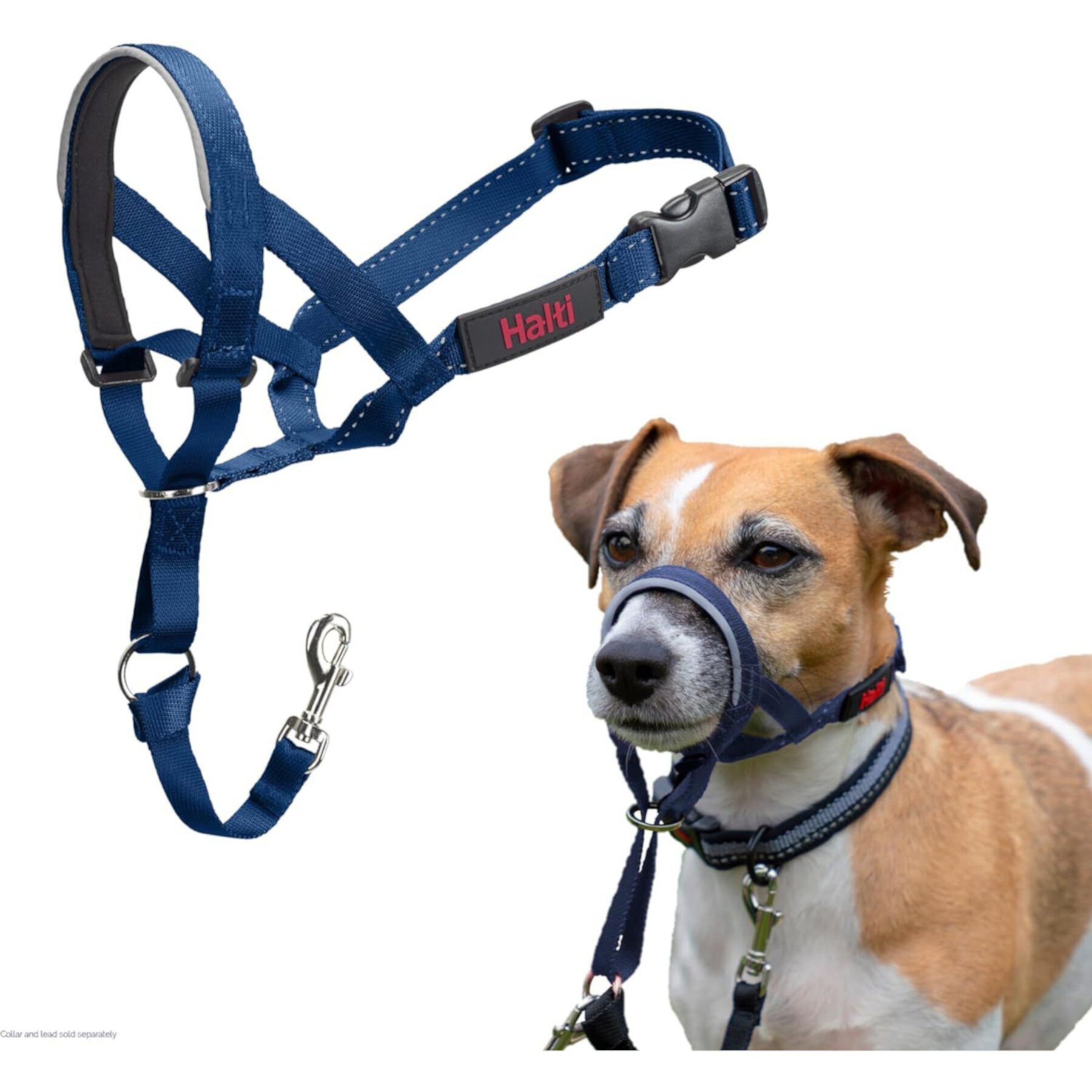 Halti Reflective Padded No Pull Dog Headcollar Halti