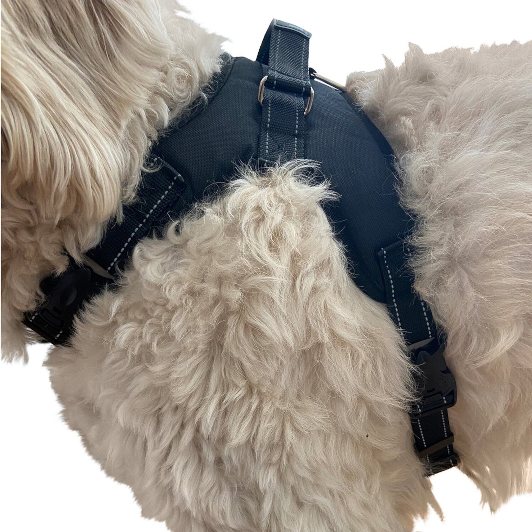 Labra Dog Chest Harness Labra