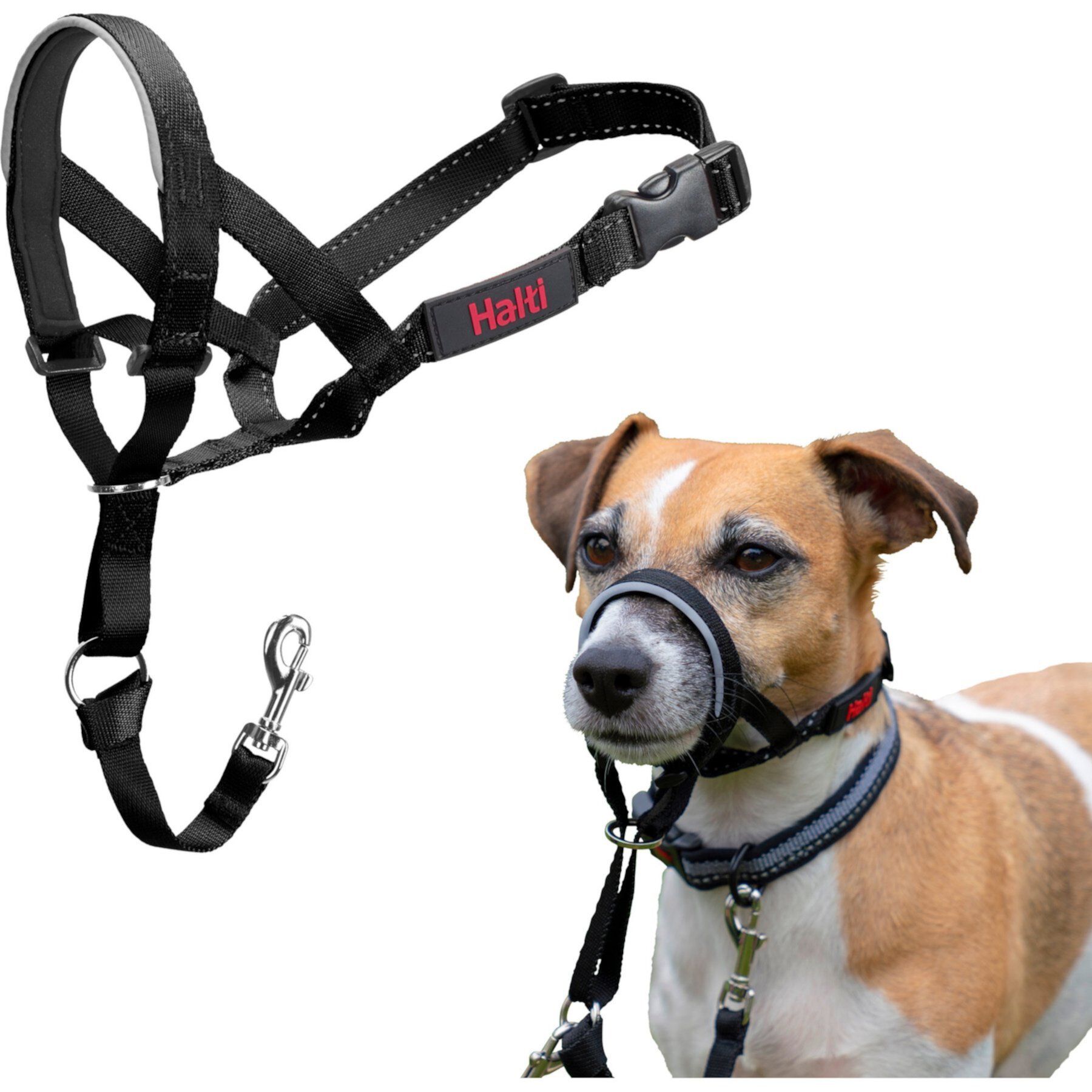 Halti Nylon Padded No Pull Dog Headcollar Halti