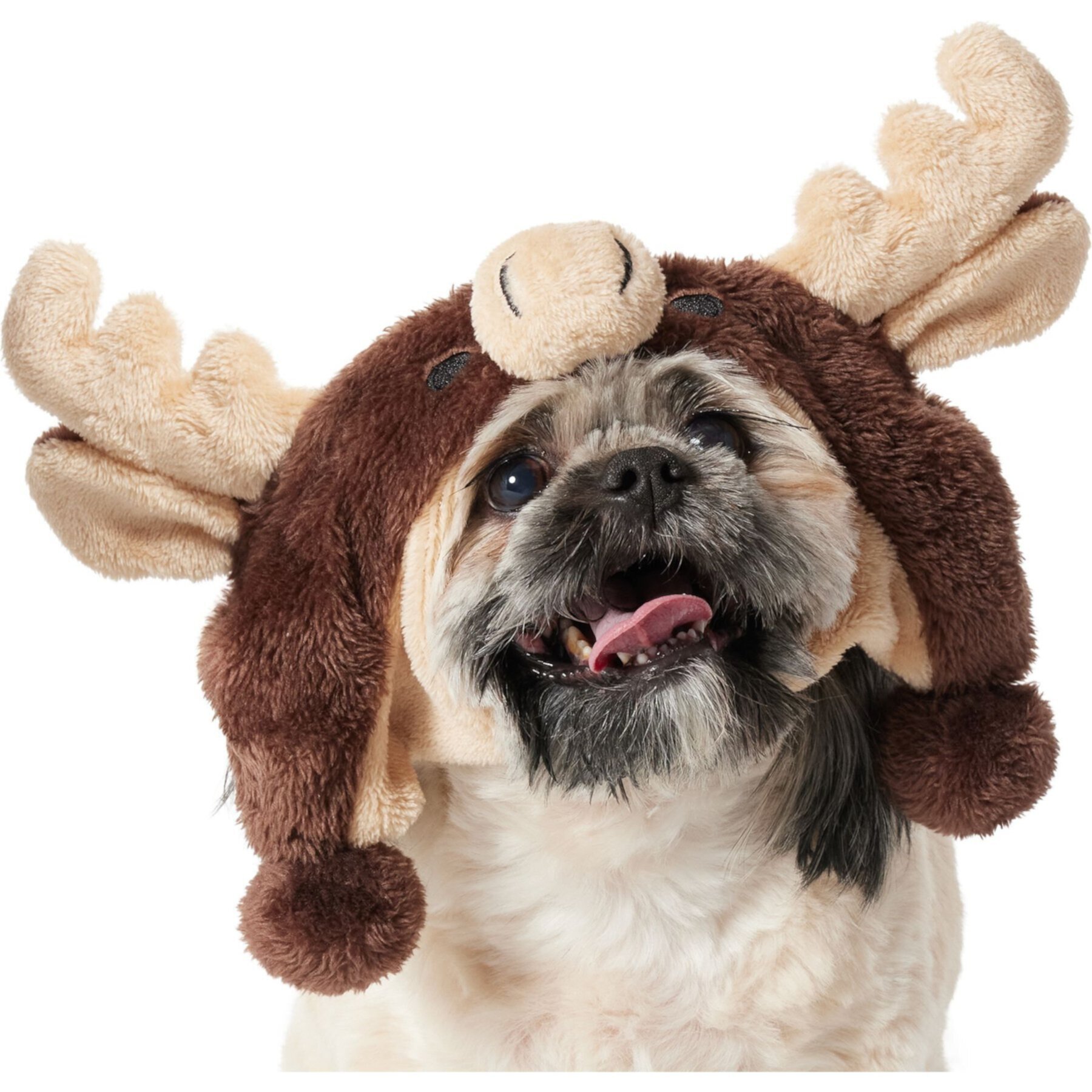 Frisco Moose Dog Hat Frisco