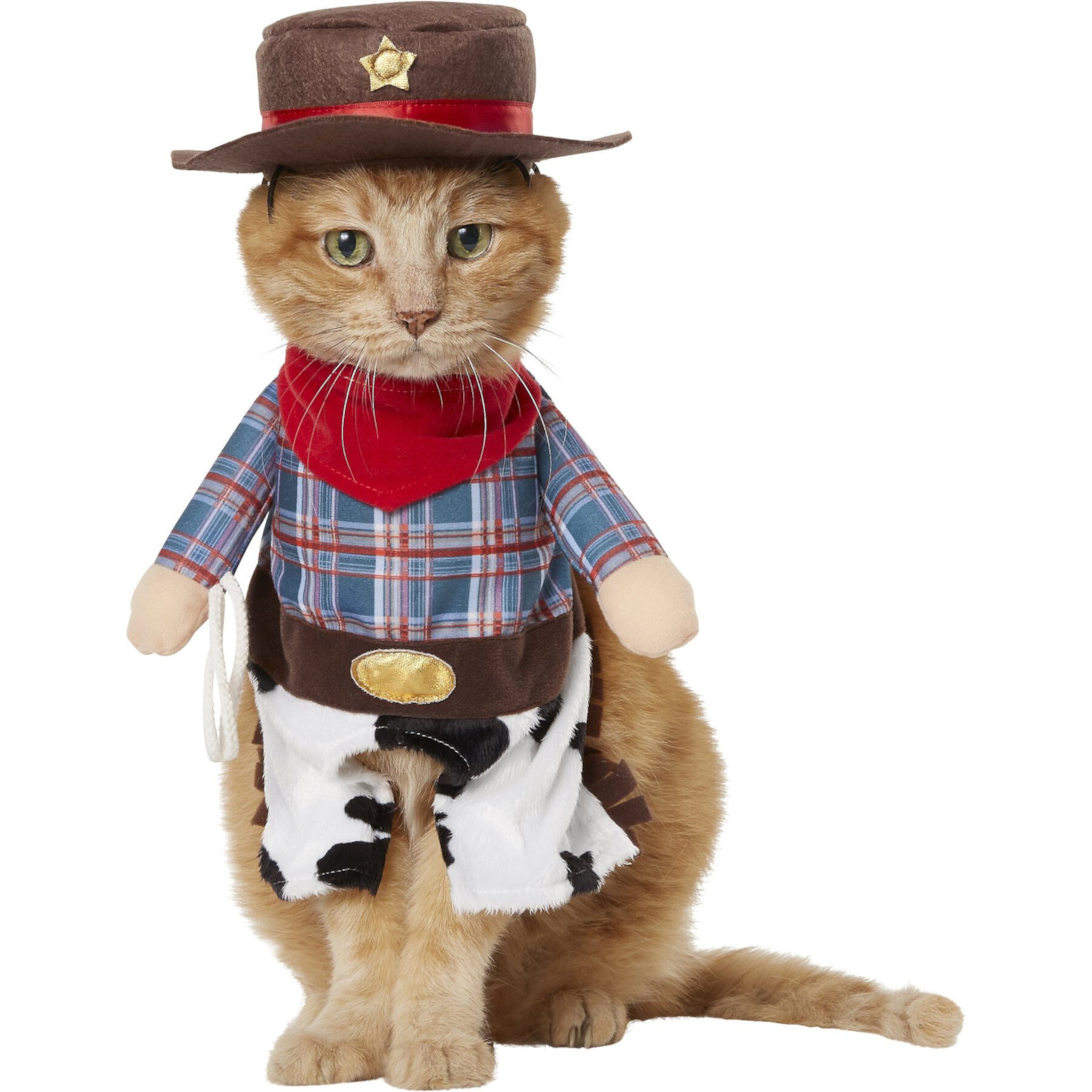 Frisco Front Walking Cowboy Dog & Cat Costume Frisco