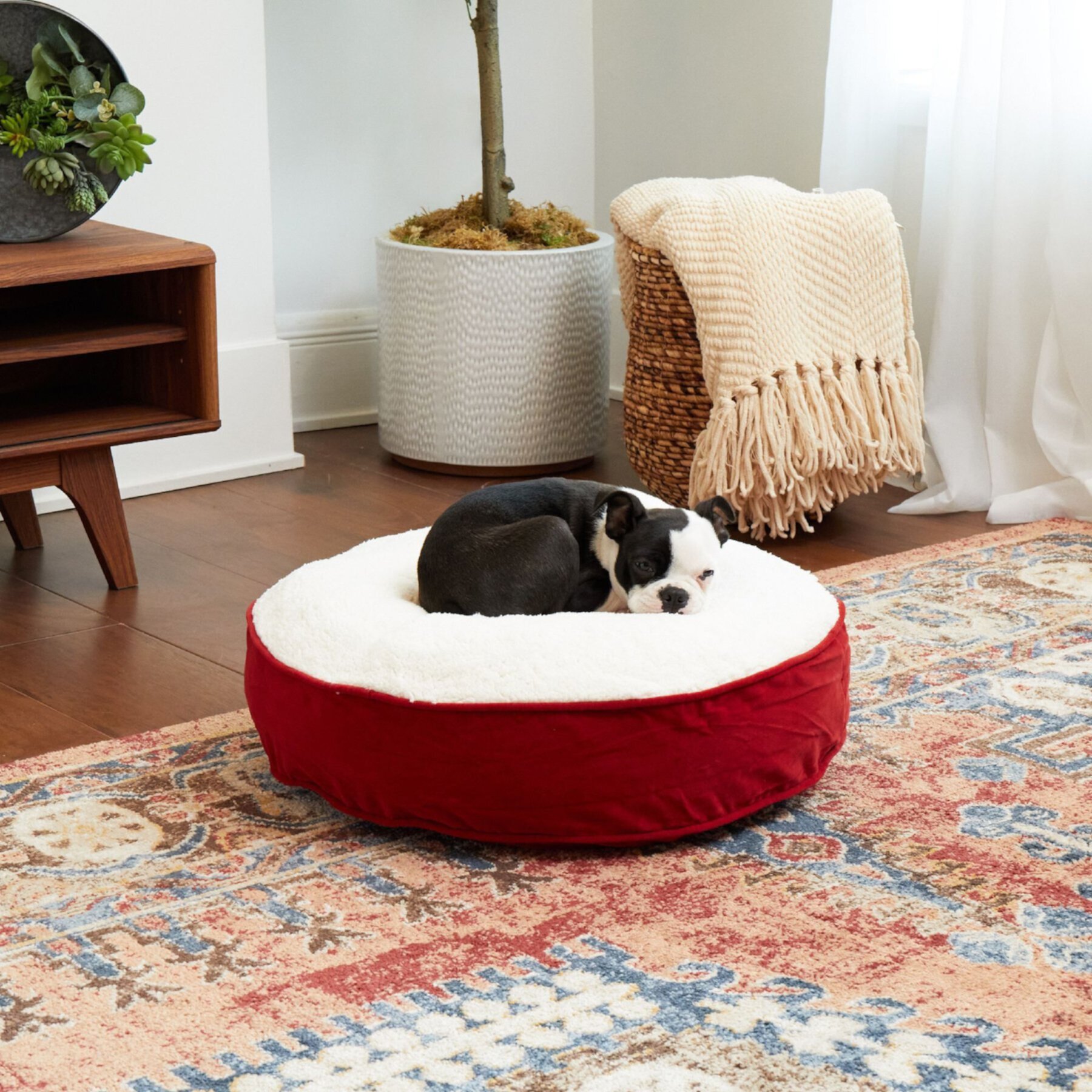 Happy Hounds Scooter Deluxe Round Pillow Dog Bed with Removable Cover Happy Hounds