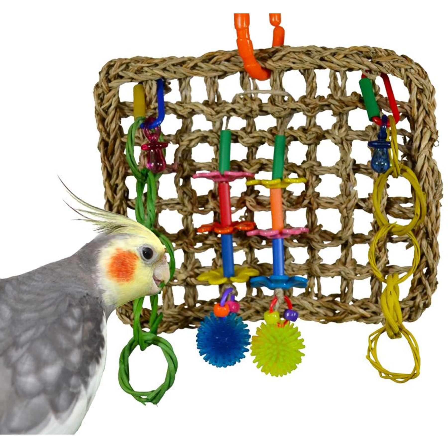 Super Bird Creations Mini Activity Wall Bird Toy, Medium Super Bird Creations