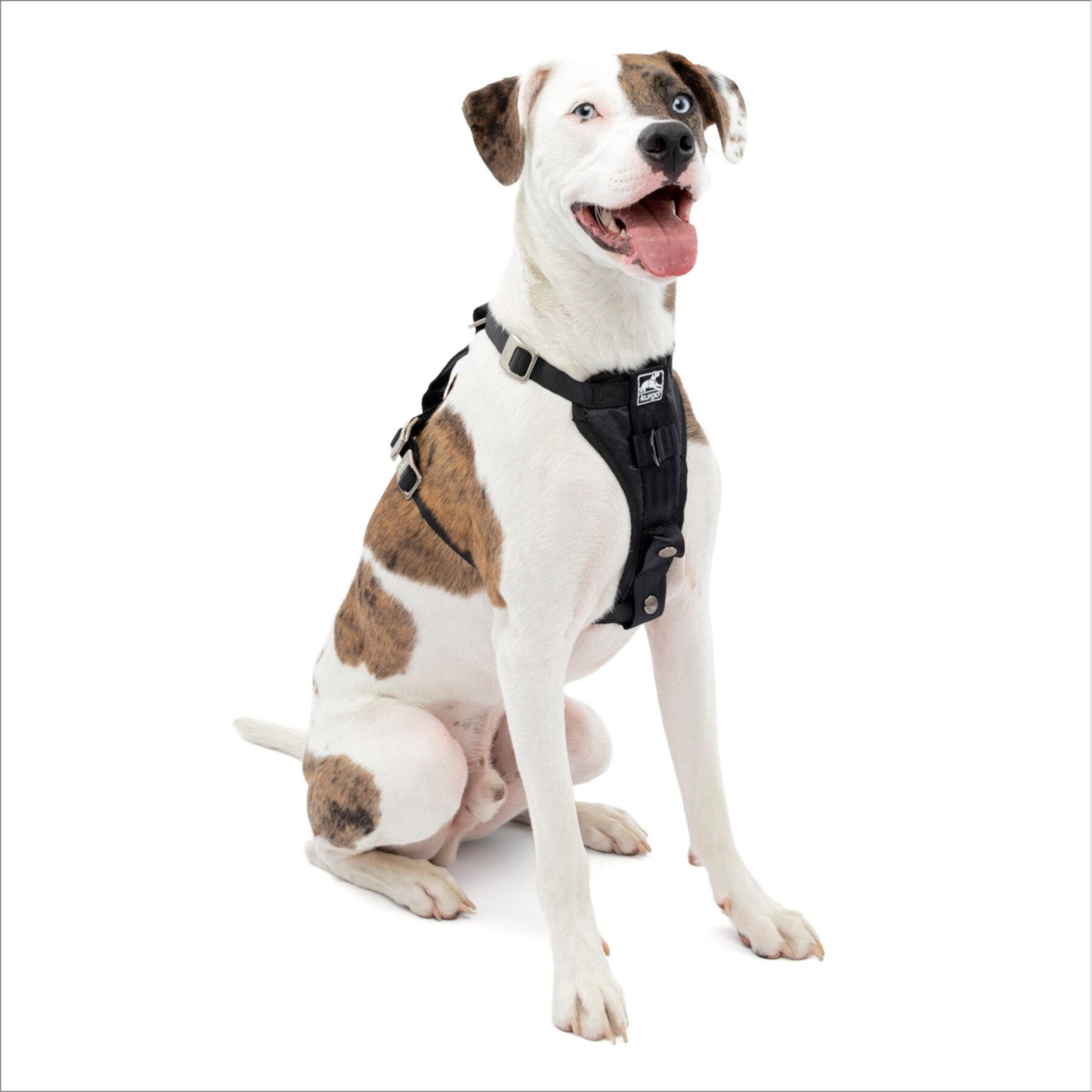 Kurgo Tru-Fit Enhanced Strength Crash Tested Smart Car Dog Harness Kurgo