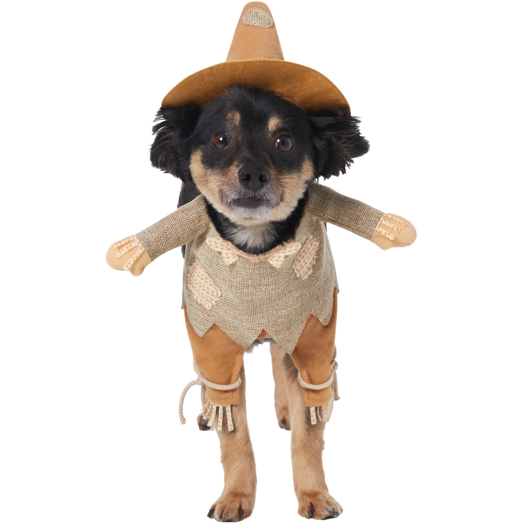 Frisco Front Walking Scarecrow Dog & Cat Costume Frisco