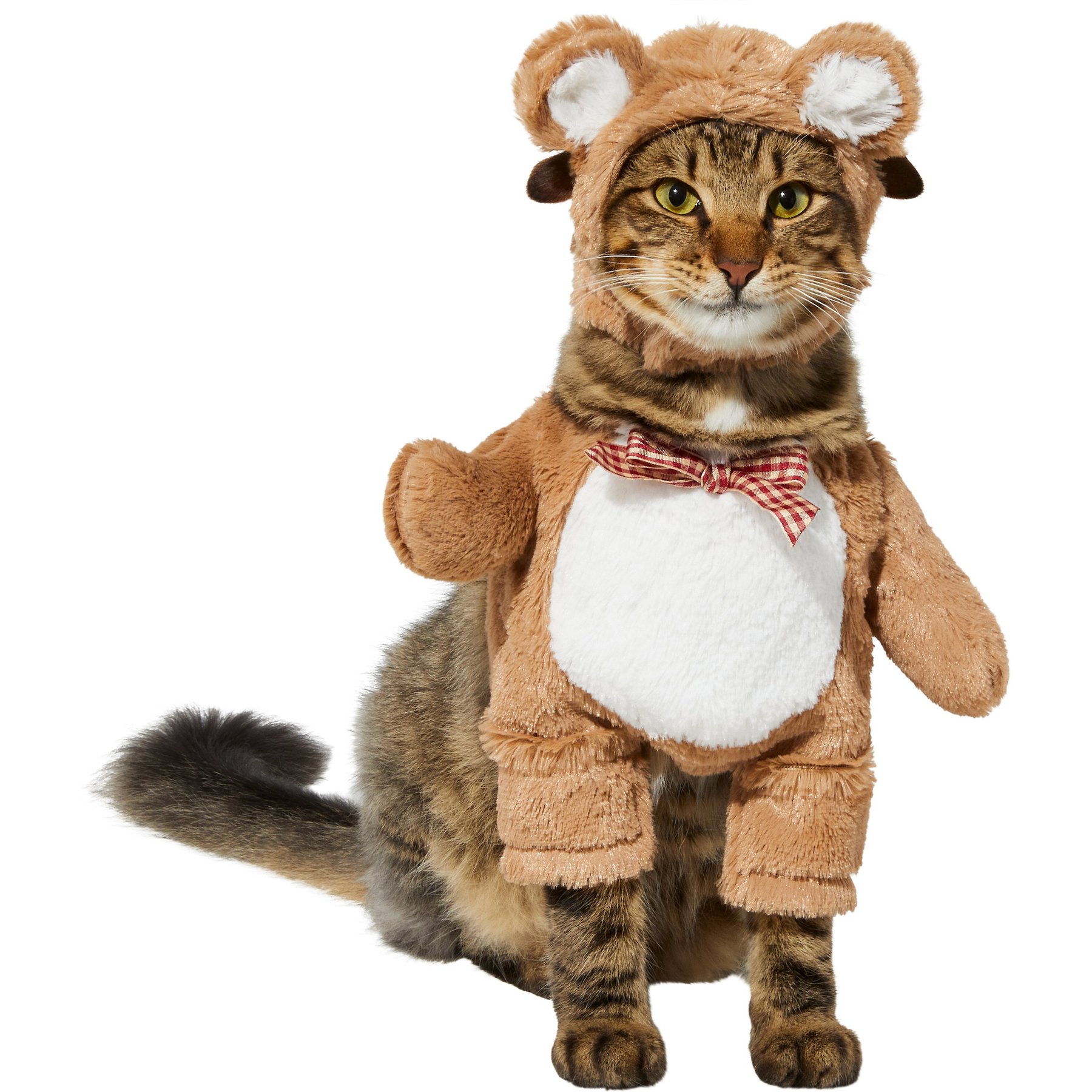 Frisco Front Walking Teddy Bear Dog & Cat Costume Frisco